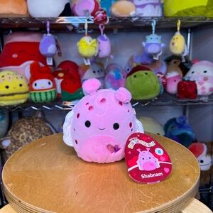 Squishmallows Shabnam the Sea Slug 🐌